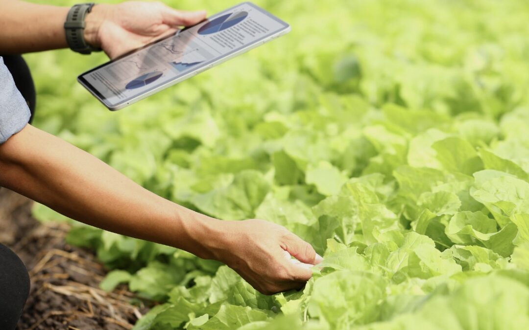 Introducing the Community of Organizations