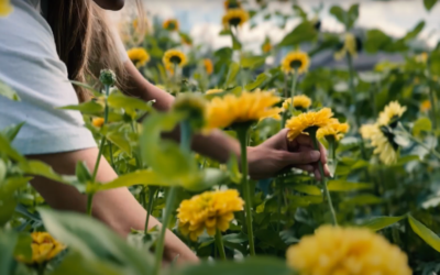 Specialty Cut Flower Farming in Canada