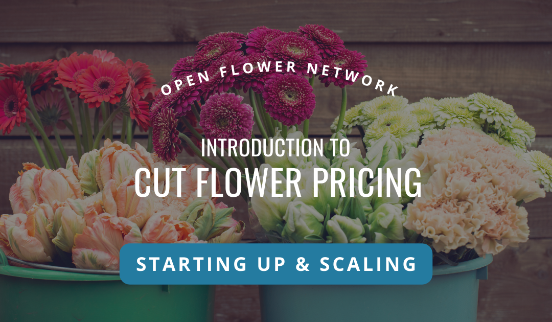 Intro to Cut Flower Pricing