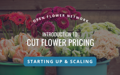 Intro to Cut Flower Pricing