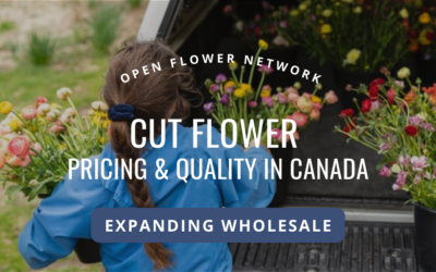 Cut Flower Pricing and Quality for Wholesale in Canada