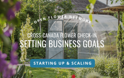 Business Goals for Flower Farmers