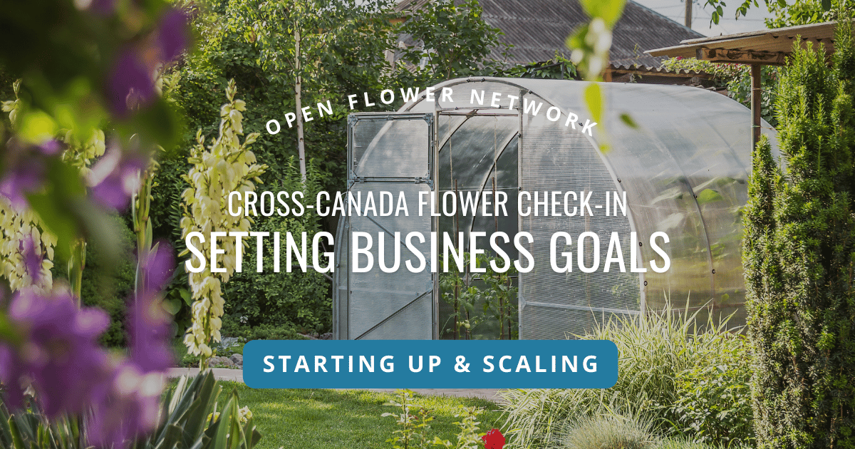 Season Reflection for Flower Farmers - Open Food Network Canada