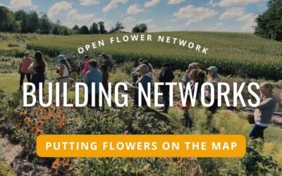 Building Networks for Flower Farmers