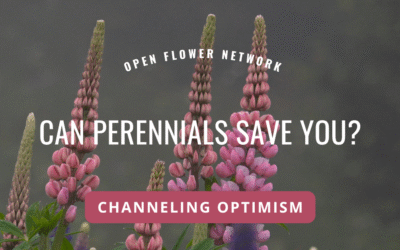 Best Perennials for Flower Farmers in Canada
