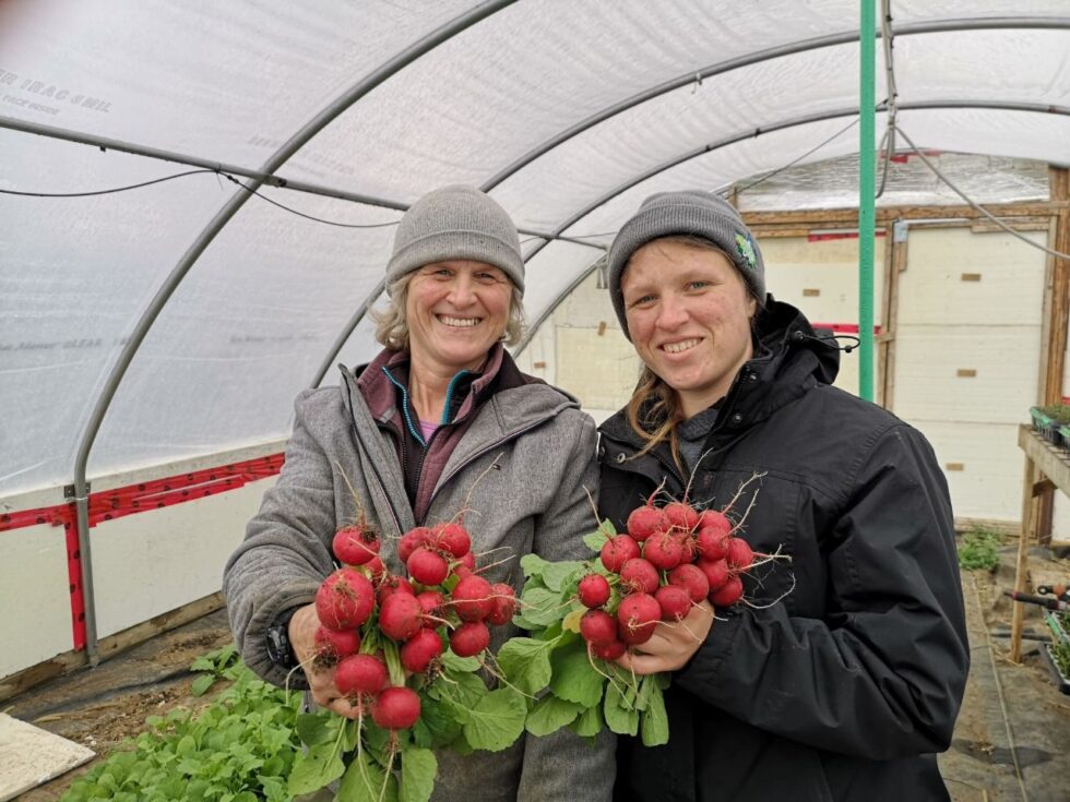 linda_kendra_radishes-980x735