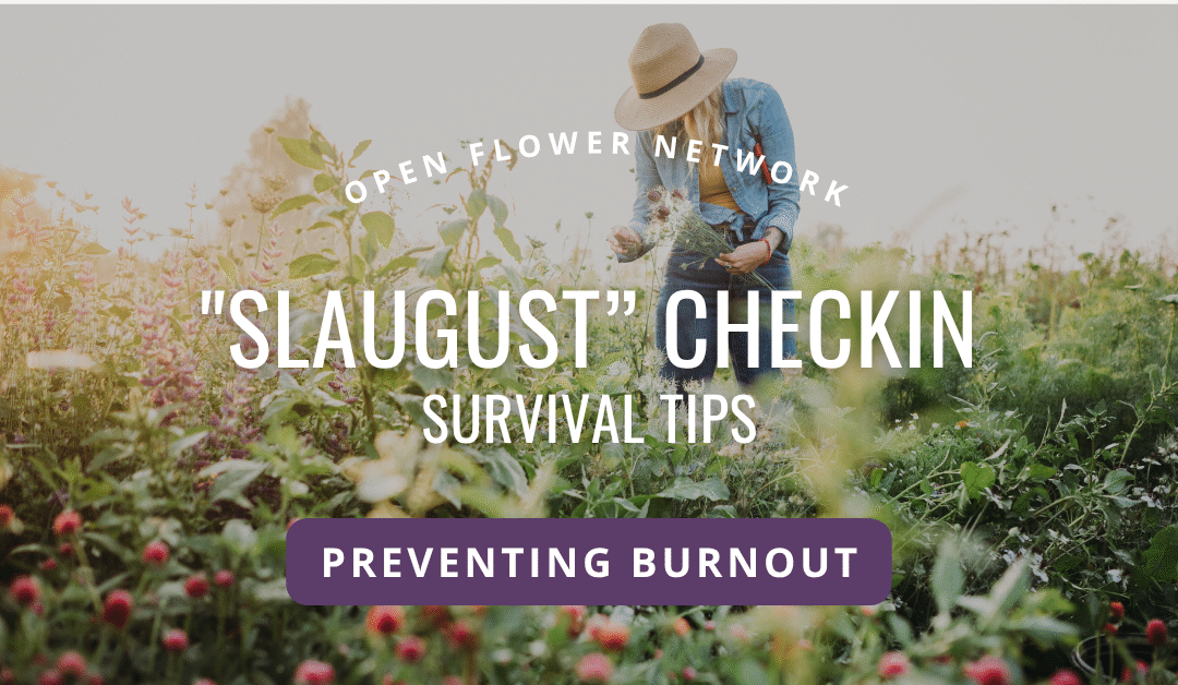 Surviving Slaugust for Flower Farmers