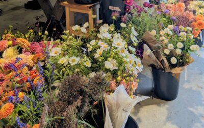 Greenbelt Flower Hubs: The Millgrove Flower Hub