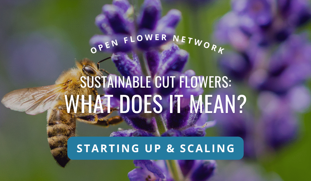 Sustainability for Flower Farmers